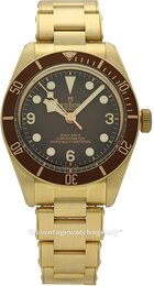 Tudor Black Bay M79012M-0001